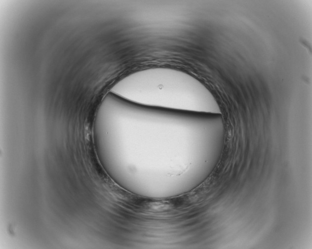 X0000096450555200801241142