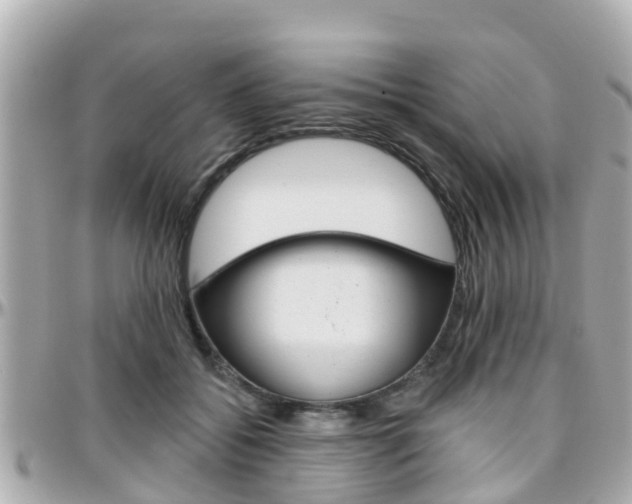 X0000096450556200801241142
