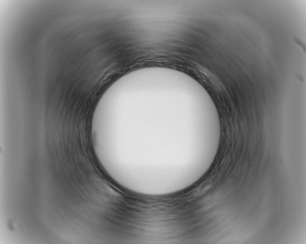 X0000096450558200801241142