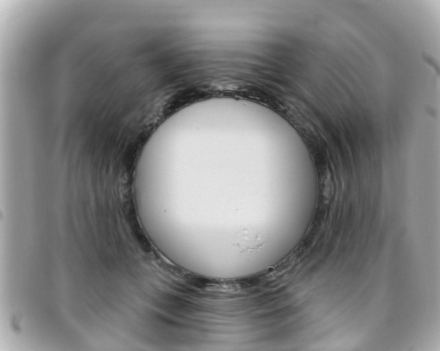 X0000096450559200801241142