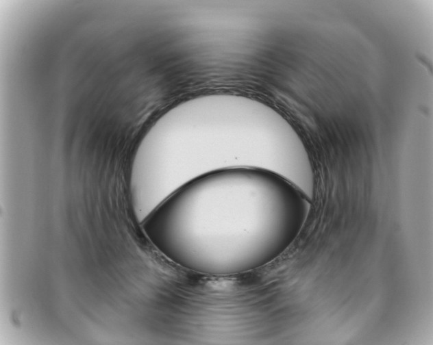 X0000096450560200801241142