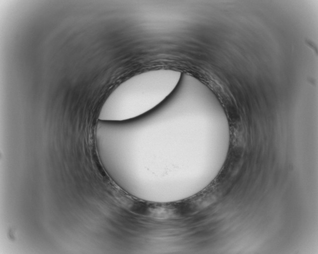 X0000096450561200801241142