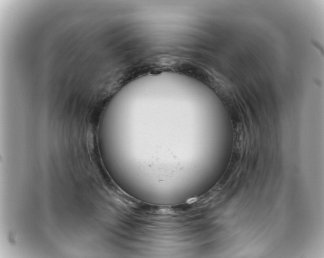 X0000096450562200801241142