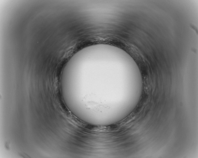 X0000096450563200801241142