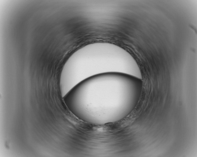 X0000096450564200801241143