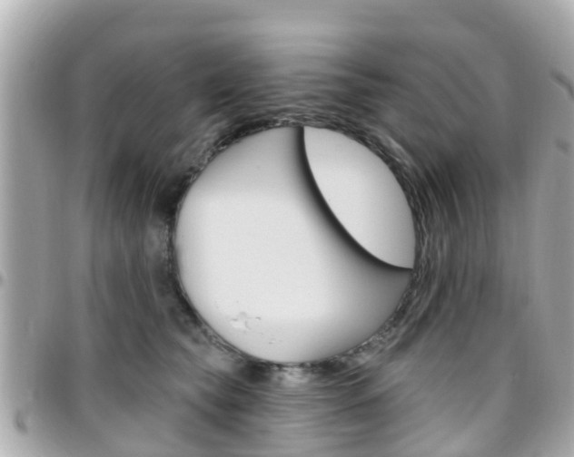 X0000096450565200801241143