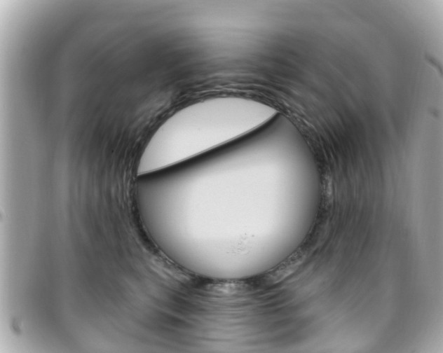 X0000096450567200801241143