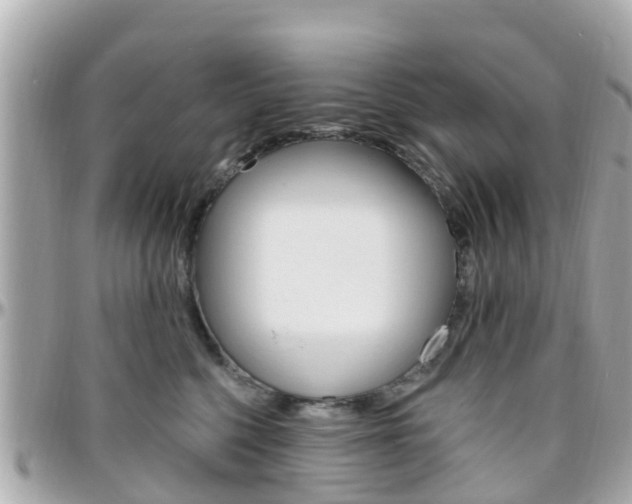 X0000096450568200801241143