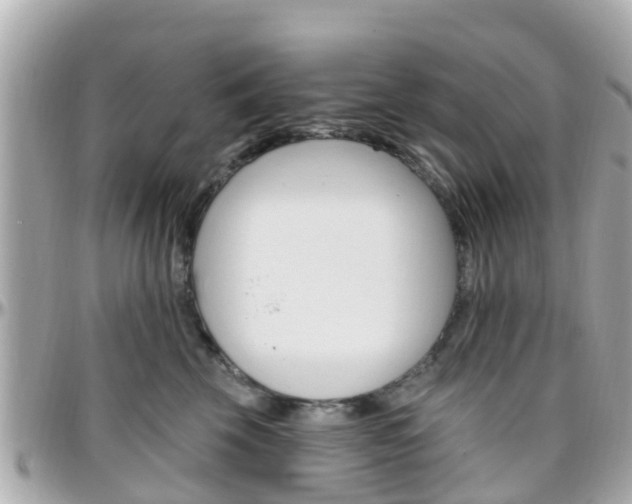 X0000096450569200801241143