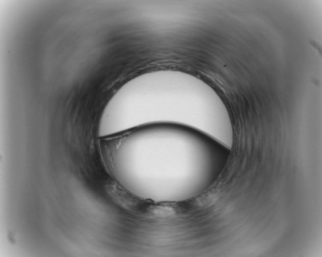 X0000096450572200801241143