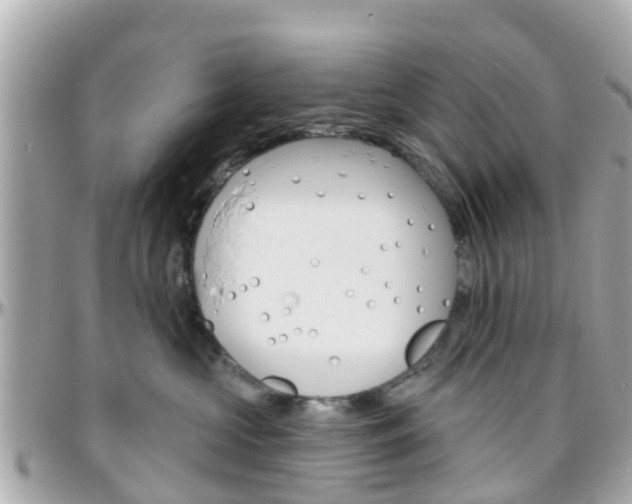 X0000096450573200801241143