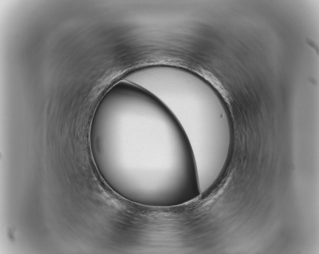 X0000096450577200801241142