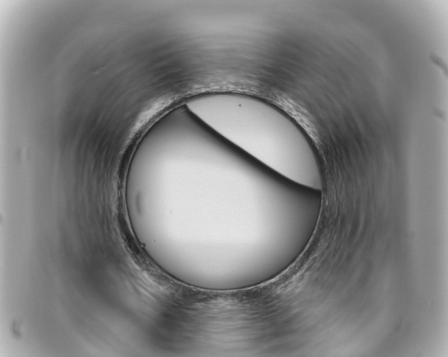 X0000096450578200801241142
