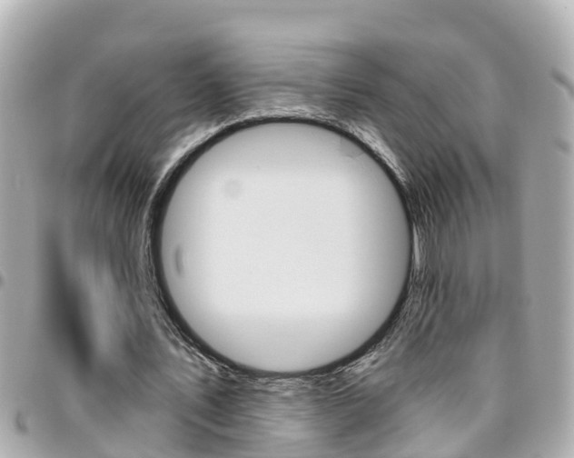 X0000096450579200801241142
