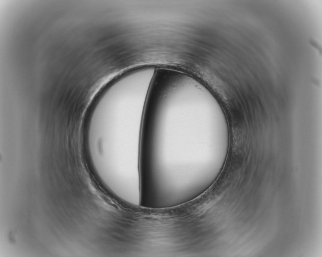 X0000096450580200801241142