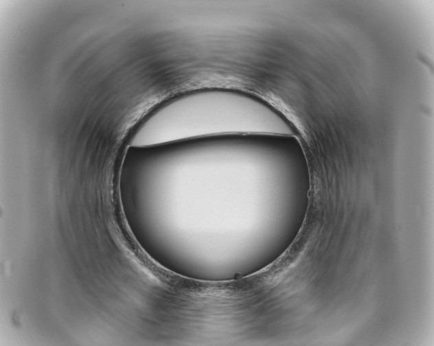 X0000096450581200801241142