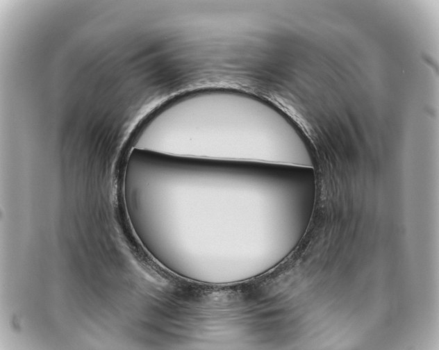 X0000096450584200801241142