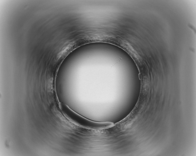 X0000096450585200801241142