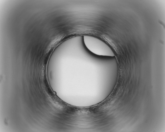 X0000096450586200801241142