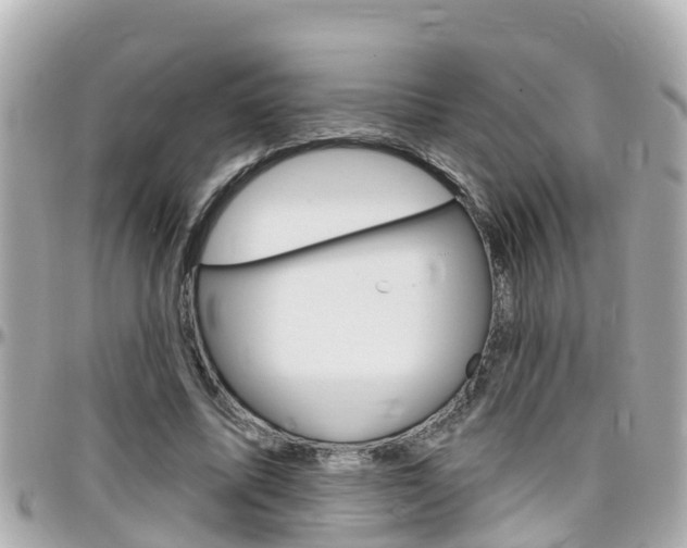 X0000096450587200801241142