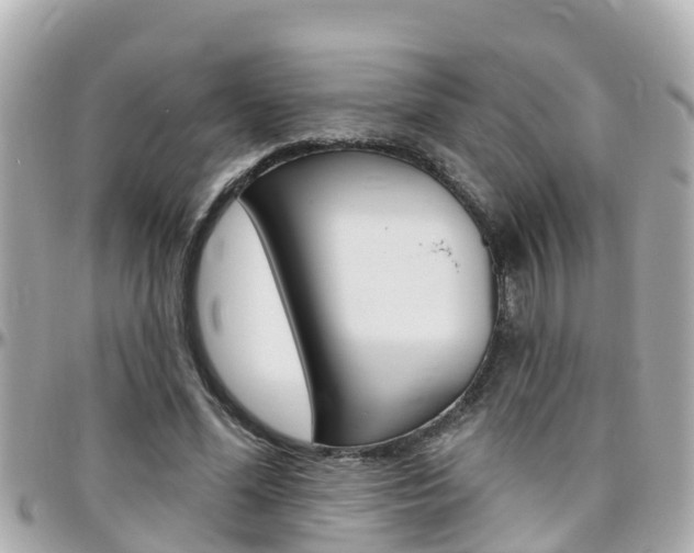 X0000096450588200801241142