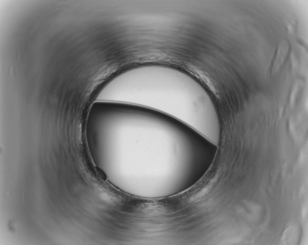 X0000096450589200801241142