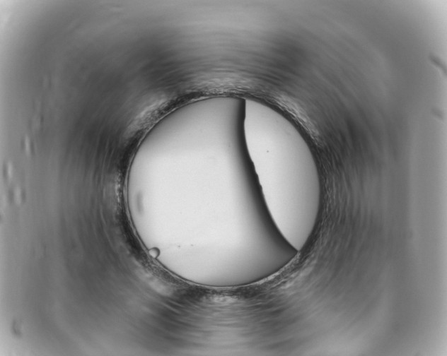 X0000096450590200801241142