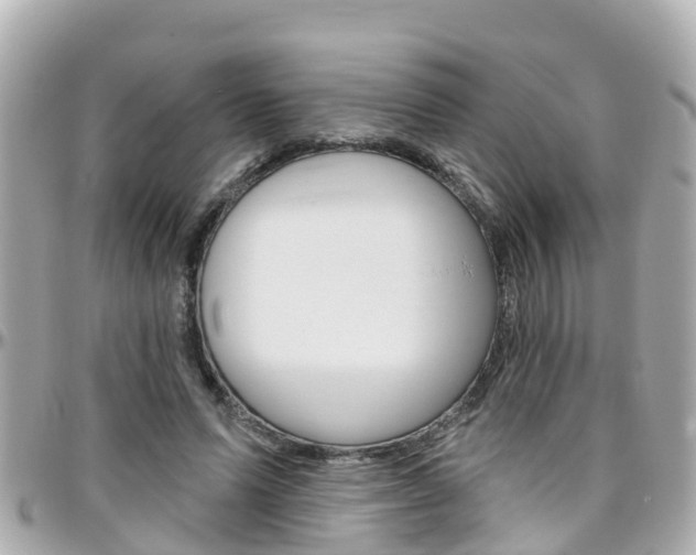 X0000096450591200801241142