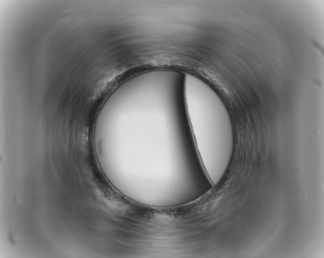 X0000096450592200801241142