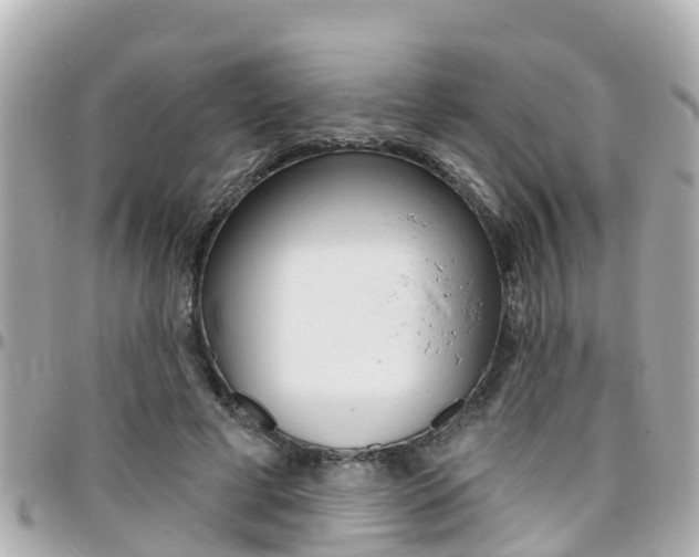 X0000096450593200801241142
