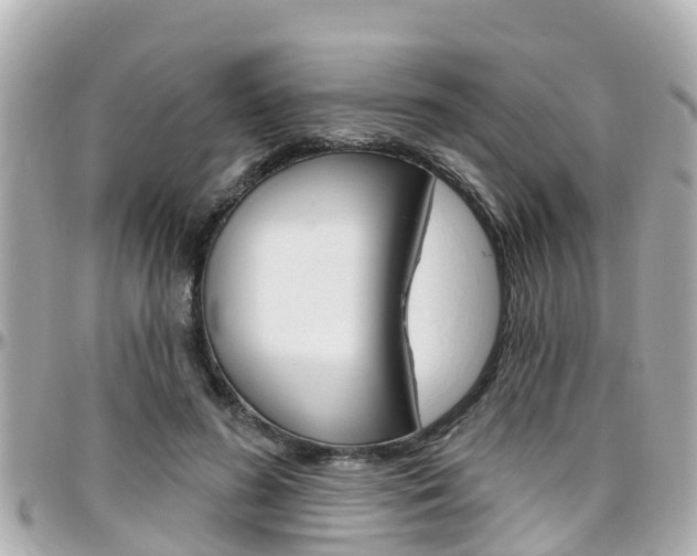 X0000096450596200801241142