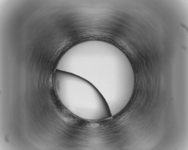 X0000096450598200801241142
