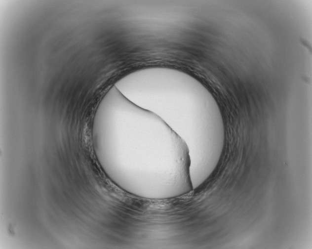 X0000096450599200801241142