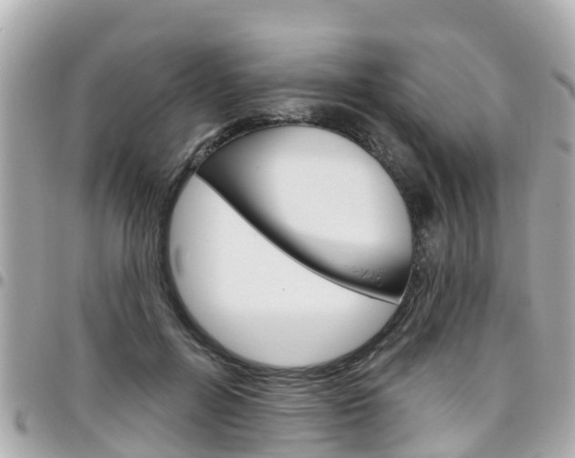 X0000096450600200801241142