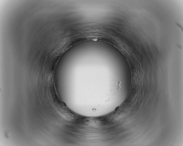 X0000096450601200801241142