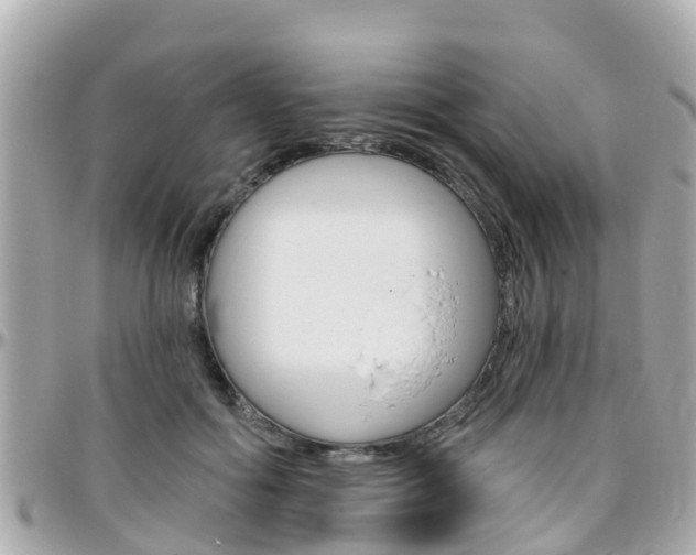 X0000096450602200801241142