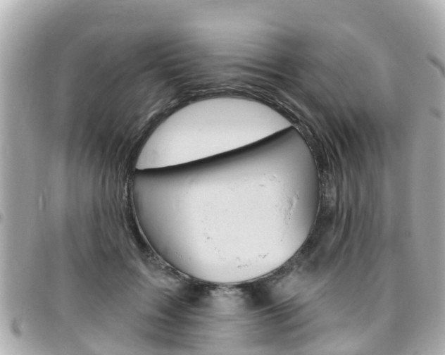 X0000096450603200801241142