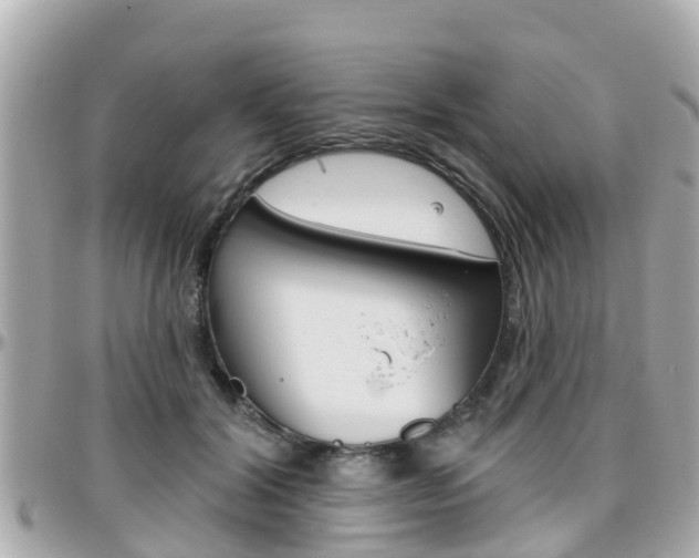 X0000096450604200801241141
