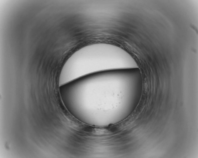 X0000096450605200801241141