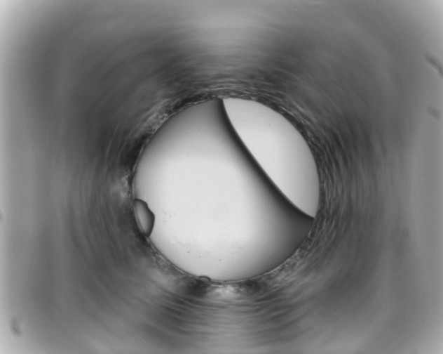 X0000096450611200801241141