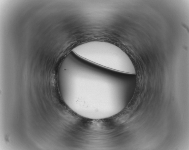 X0000096450612200801241141