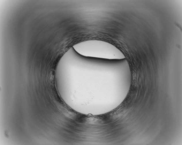 X0000096450614200801241141