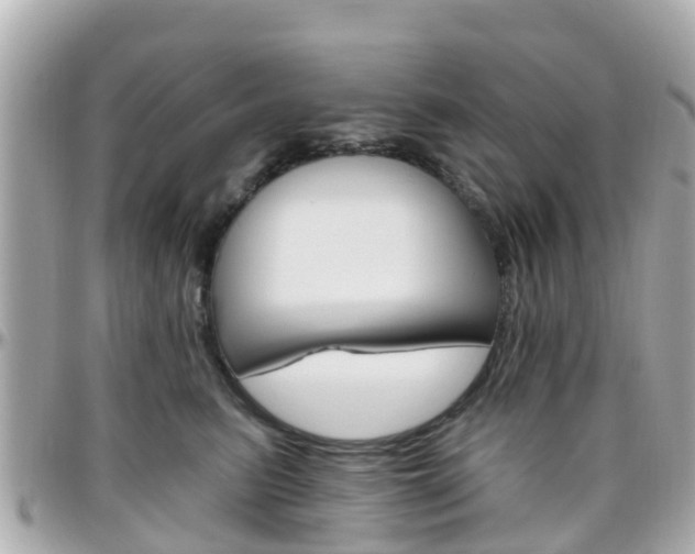 X0000096450615200801241141