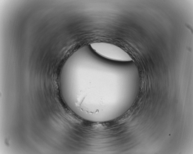 X0000096450616200801241141