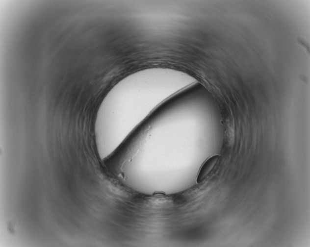X0000096450619200801241141
