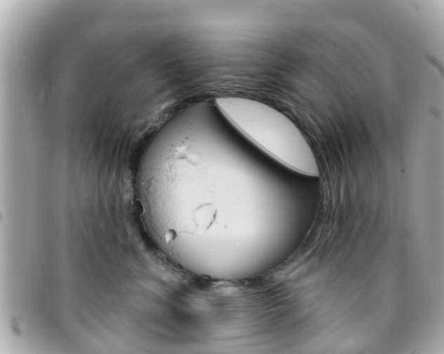 X0000096450620200801241141