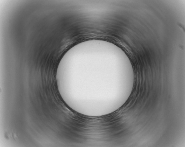 X0000096450621200801241141