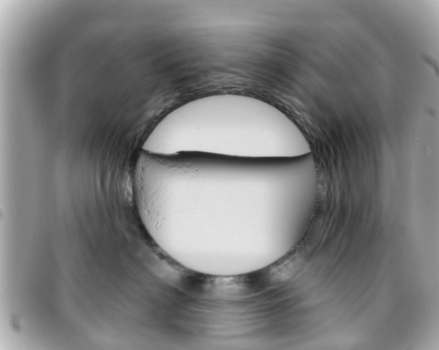 X0000096450622200801241141