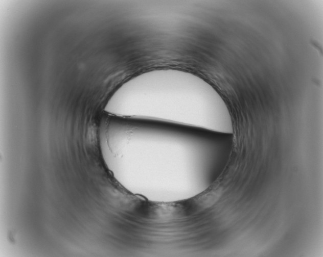 X0000096450623200801241141