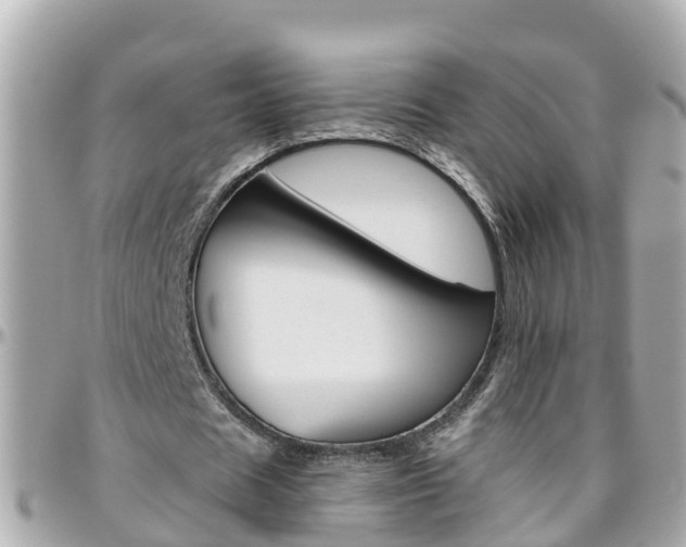 X0000096450625200801241141